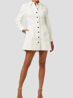 Alexa Denim Seamed Mini Dress
