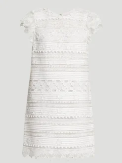 Carolina Herrera Embroidered Mini Shift Dress with Ruffle Sleeves